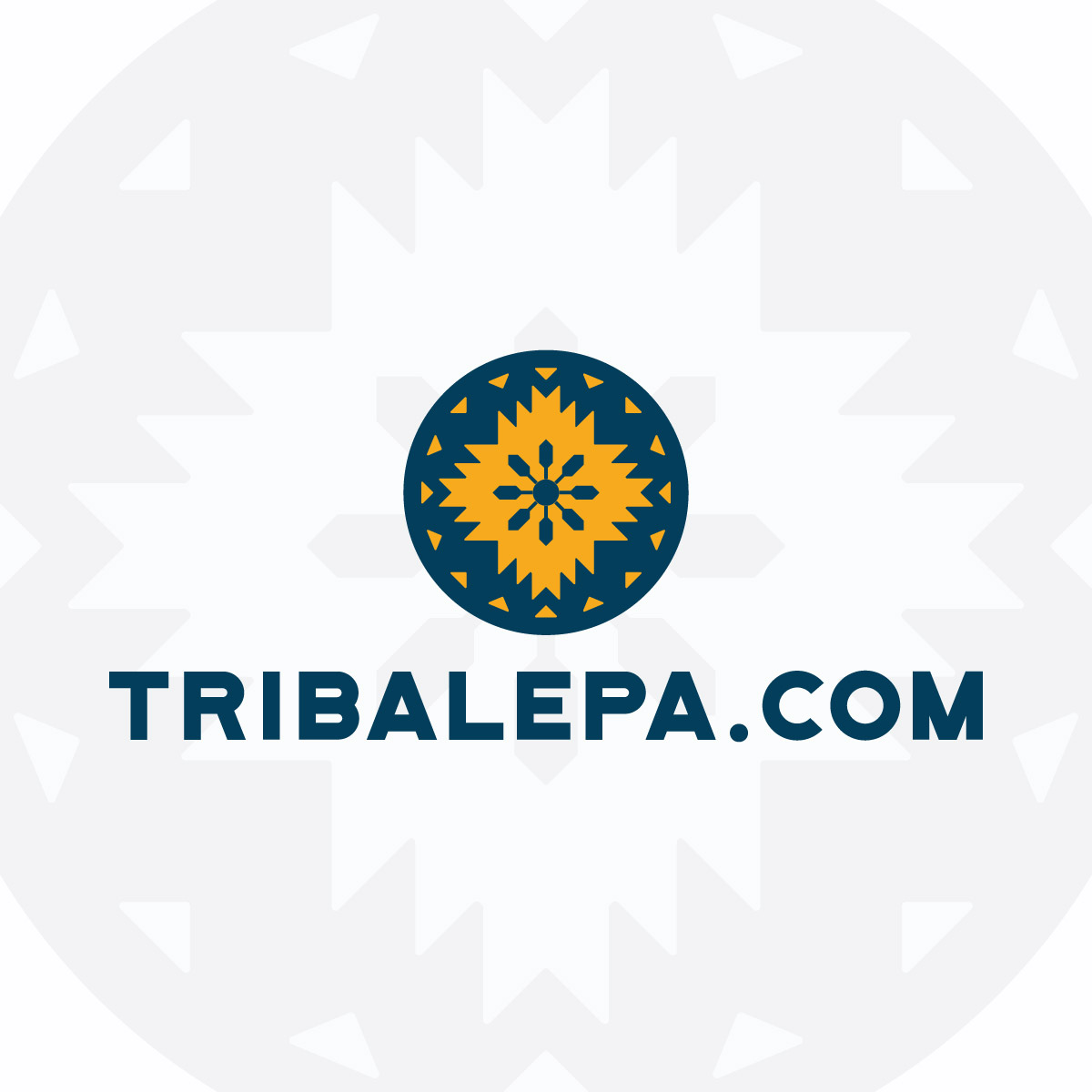 Tribal EPA Region 9 Environmental Protection Agency California Nevada Arizona Logo Registration